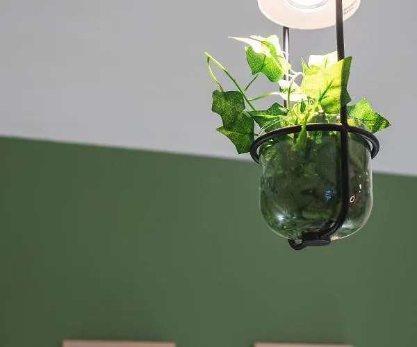 아파트 Les Hortillonnages_b&b Inn_centre Ville_terrasse_wifi_netflix